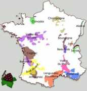 Vignobles