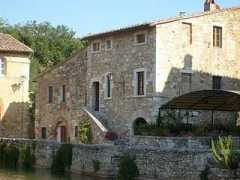 Vignone
