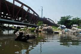 huffingtonpost.in Vijdan