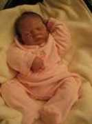 rebornnuket.com Viliina