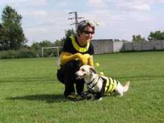 beagle.chytrak.cz Vilko