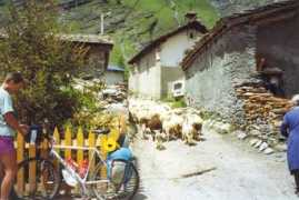 Villaron