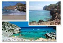 bookyourtransfer.com Vinente