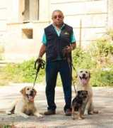 unitacinofilapartenopea.it Vingiani