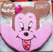 Vinit