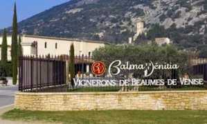 chateauneuf.dk Vinitia