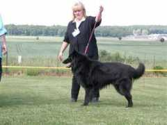 groenendael.at Vinkovits