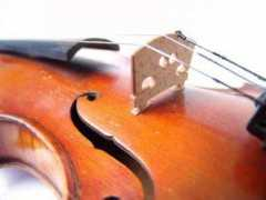 Violin