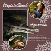 splitcoaststampers.com Virigina