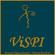 Vispi