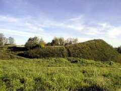 pushkin.novgorod.ru Voronich