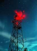 thenocturnes.com Vucenic