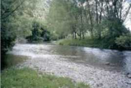 Waipa