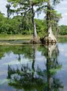 Wakula