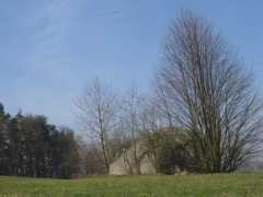 Walderbach