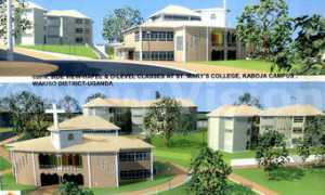newvision.co.ug Wamika