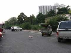 oldbangkok.com Wanglee