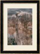 abstract-prints.com Wanqi