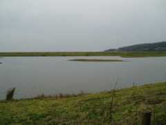 Warton