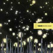 albumoftheyear.org Wavering