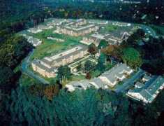 politicalaction.com Waverly