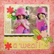 writeclickscrapbook.com Weaf