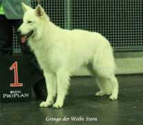 hananofskahdakota.nl Weibe