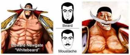 anime.stackexchange.com Whitebeard