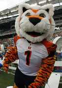 Whodey