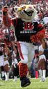 Whodey
