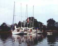 Wildgoose