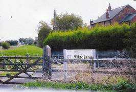 Wilne