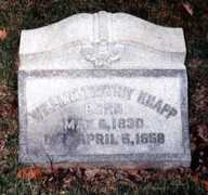 spoonercentral.com Wtk