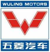 wulingauto.company.weiku.com Wuling