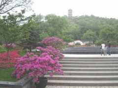 themaninchina.com Xihui