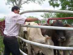 abrebrecha.com Yadiris