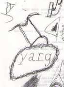 Yarg