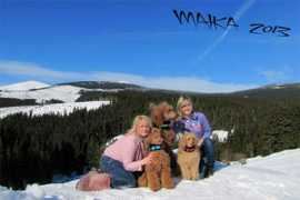 poodle-rebels.cz Yasira