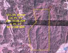 conradmartin.com Yazzo