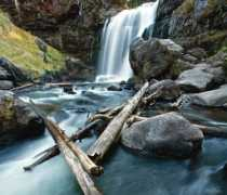 Yellowstone