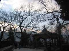 Yesil