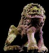 asahi-net.or.jp Yosiani