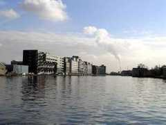 Zaan