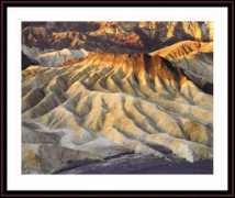 whittengallery.com Zabriski