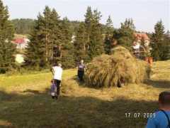 sokolac.slavicnet.com Zacas