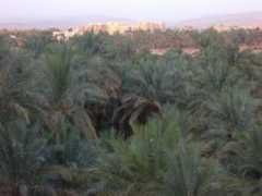 maroc4lvogt.uniterre.com Zagoura