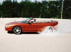mustangworld.com Zahie