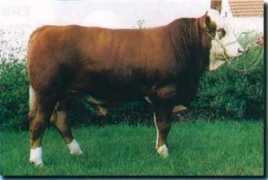 Zaire