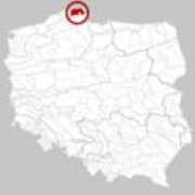 Zarnowiecki