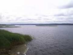 Zarnowiecki